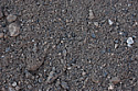 Asphalt Millings - PLEASE CALL FOR PRICING