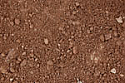 Screened Topsoil - PLEASE CALL FOR PRICING
